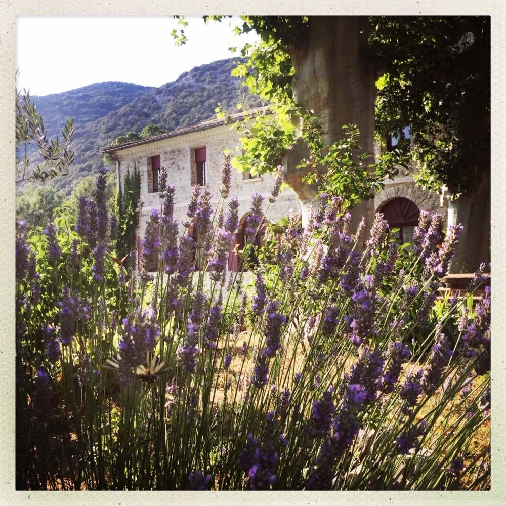 domaine-de-rochebelle-maison-dhotes-cevennes-nimes-gard